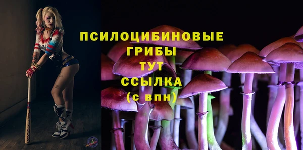 соль курить ск Балахна