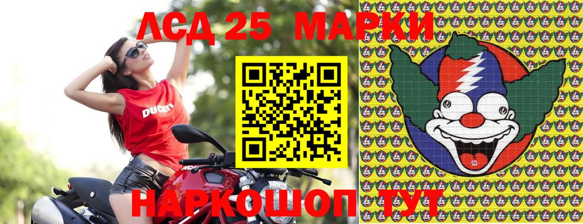 Псилоцибиновые грибы Краснотурьинск