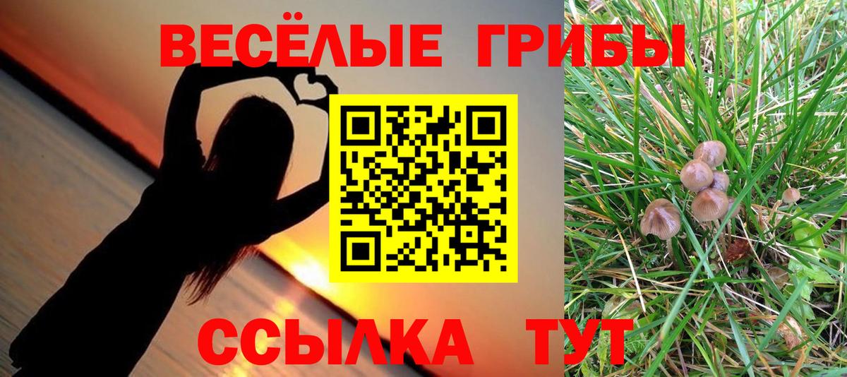 Псилоцибиновые грибы Magic Shrooms  Краснотурьинск  Галлюциногенные грибы Psilocybe 