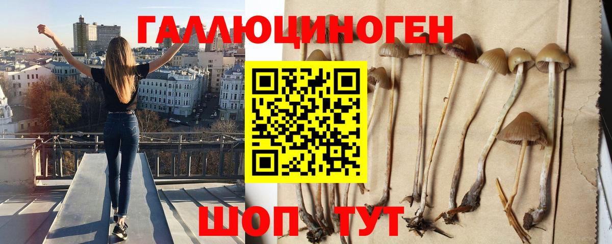 Галлюциногенные грибы мухоморы Краснотурьинск