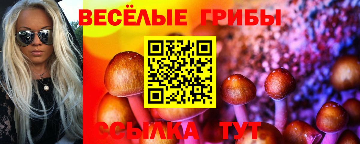 Псилоцибиновые грибы Cubensis Краснотурьинск